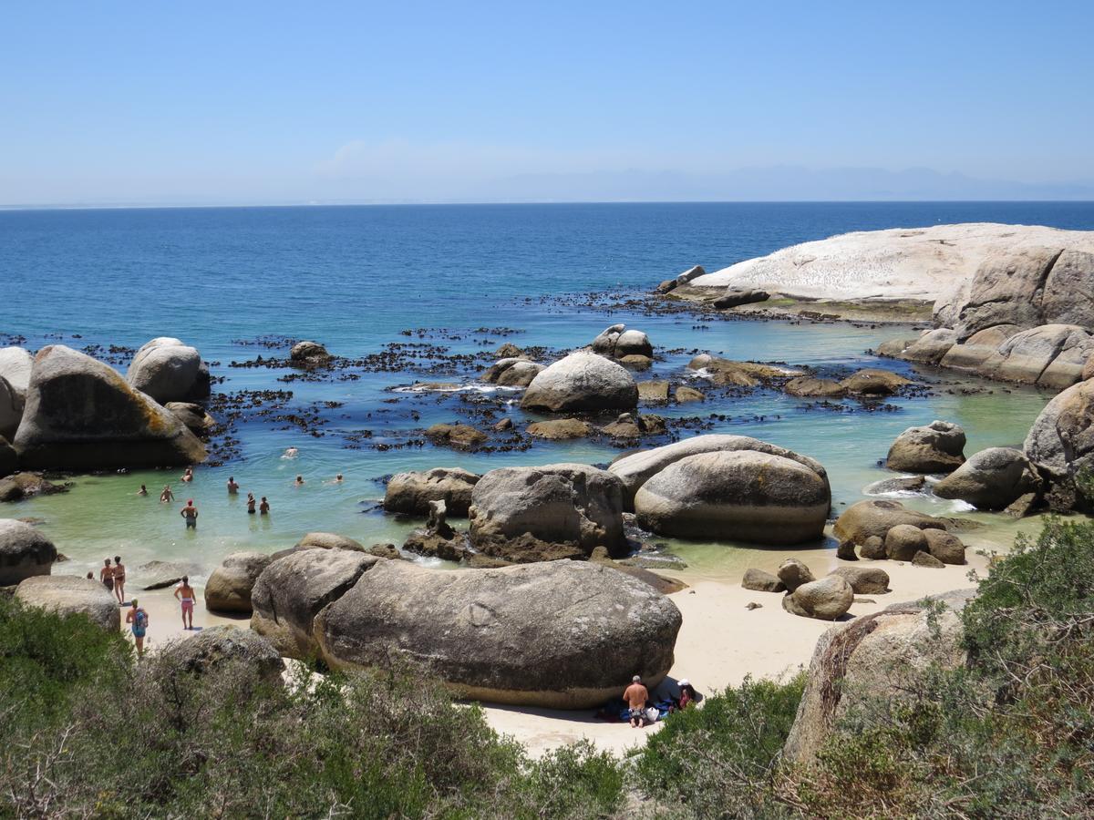 Penguins View Guesthouse Simon's Town Exterior photo