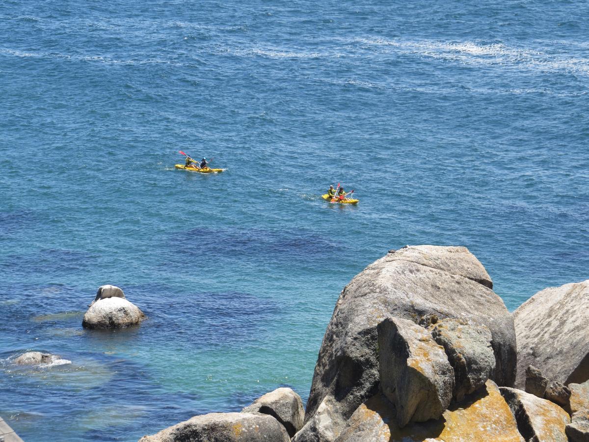 Penguins View Guesthouse Simon's Town Exterior photo